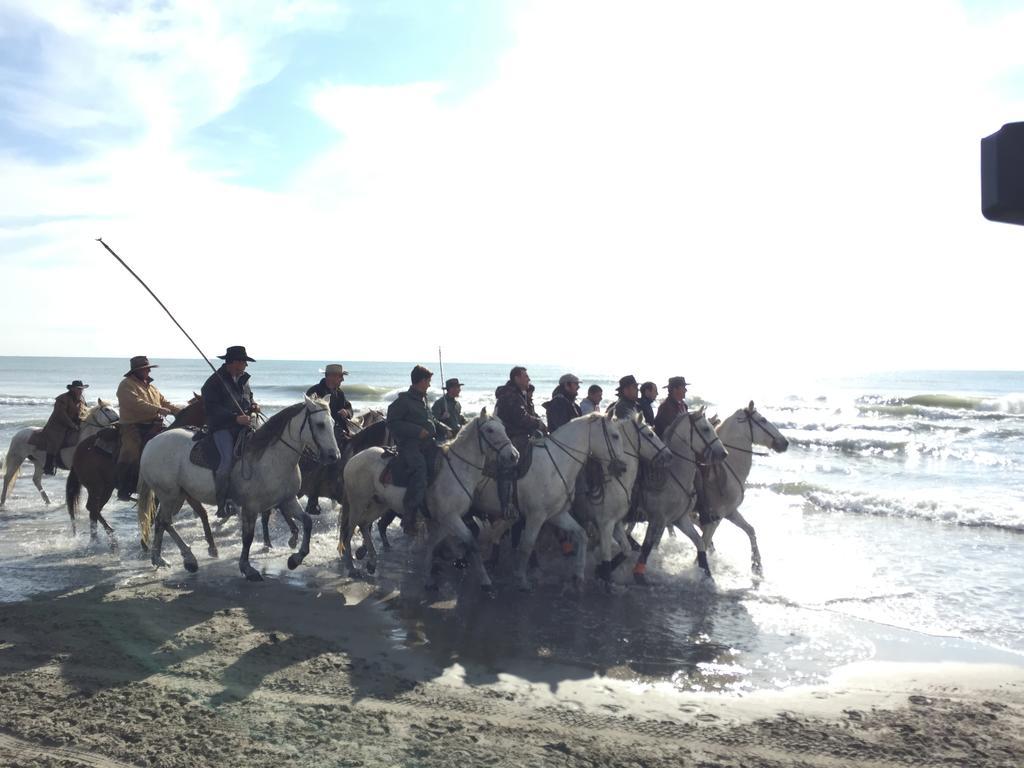 Hotel Les Palmiers En Camargue Saintes-Maries-de-la-Mer Zewnętrze zdjęcie