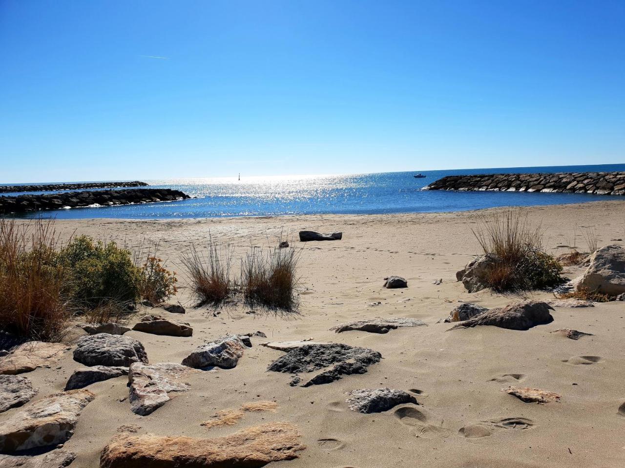 Hotel Les Palmiers En Camargue Saintes-Maries-de-la-Mer Zewnętrze zdjęcie